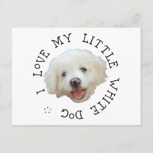 I Love My Little White Rescue Dog Postcard