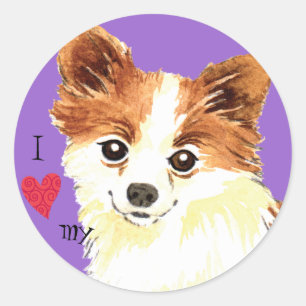 I Love my Long Coat Chihuahua Classic Round Sticker