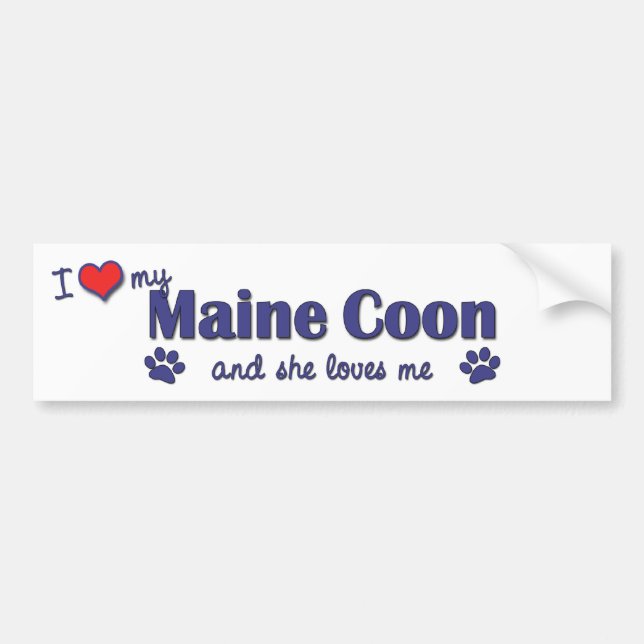 I Love My Maine Coon (Female Cat) Bumper Sticker (Front)
