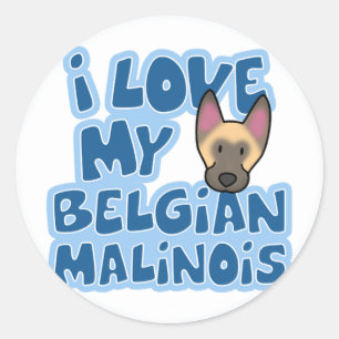 I Love My Malinois Stickers