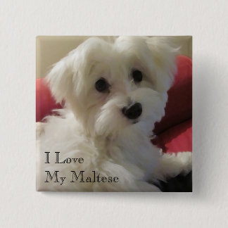 I Love My Maltese Button