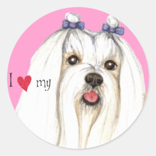 I Love my Maltese Classic Round Sticker