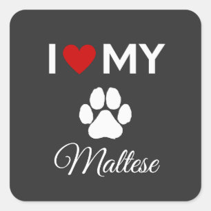 I love my Maltese dog custom text Square Sticker