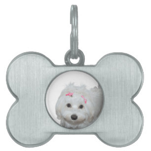 I Love My Maltese Lili Pet ID Tag