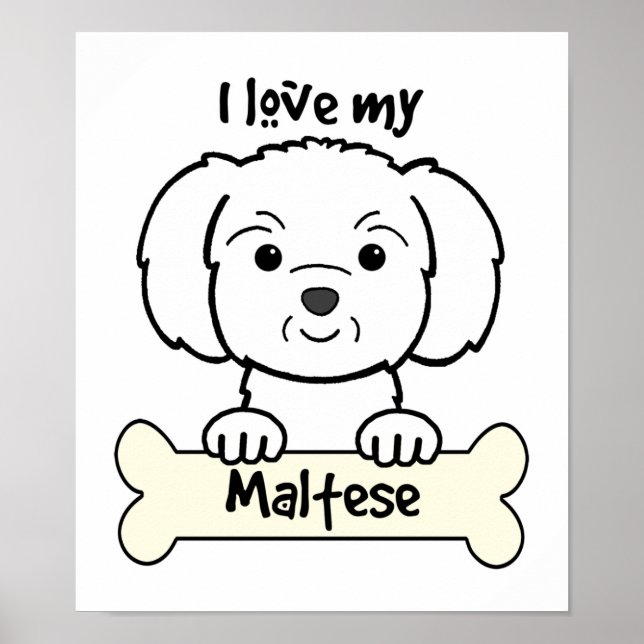 I Love My Maltese Poster (Front)