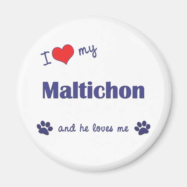 I Love My Maltichon (Male Dog) Magnet (Front)