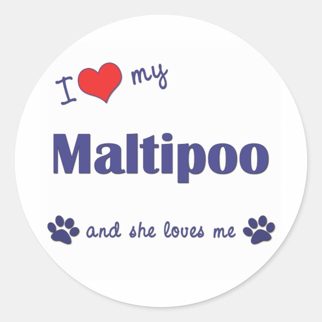 I Love My Maltipoo (Female Dog) Classic Round Sticker (Front)