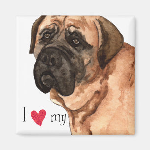 I Love my Mastiff Magnet