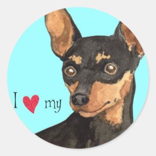 I Love my Min Pin Classic Round Sticker