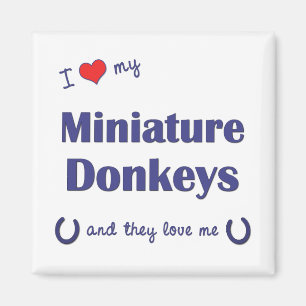 I Love My Miniature Donkeys (Multiple Donkeys) Magnet