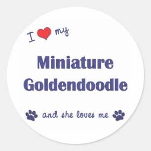 I Love My Miniature Goldendoodle (Female Dog) Classic Round Sticker
