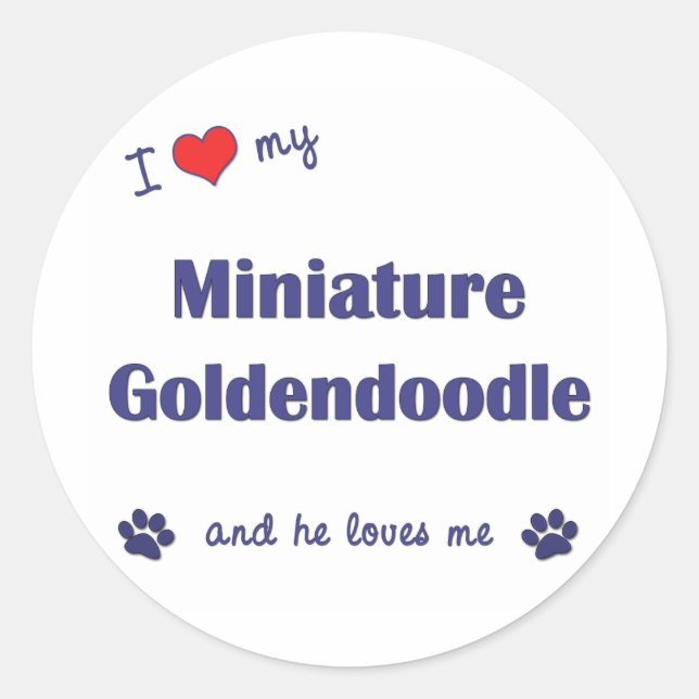 I Love My Miniature Goldendoodle (Male Dog) Classic Round Sticker (Front)