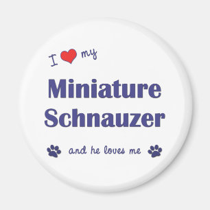 I Love My Miniature Schnauzer (Male Dog) Magnet