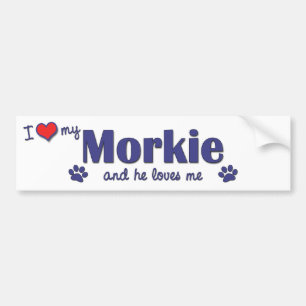 I Love My Morkie (Male Dog) Bumper Sticker