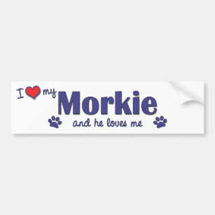 I Love My Morkie (Male Dog) Bumper Sticker