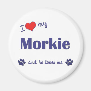I Love My Morkie (Male Dog) Magnet