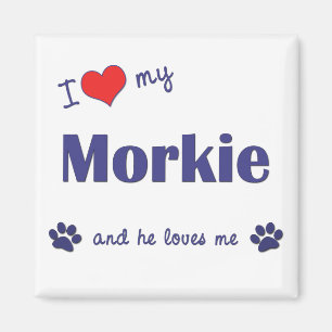 I Love My Morkie (Male Dog) Magnet