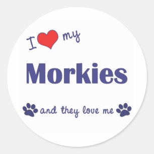 I Love My Morkies (Multiple Dogs) Classic Round Sticker