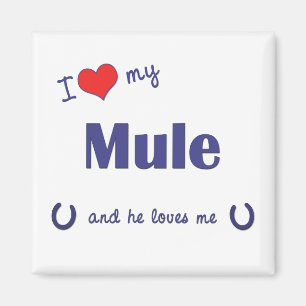 I Love My Mule (Male Mule) Magnet