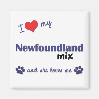 I Love My Newfoundland Mix (Female Dog) Magnet