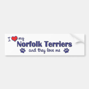 I Love My Norfolk Terriers (Multiple Dogs) Bumper Sticker