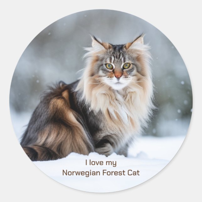 I Love My Norwegian Forest Cat In The Snow  Classic Round Sticker (Front)