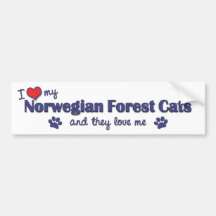 I Love My Norwegian Forest Cats (Multiple Cats) Bumper Sticker