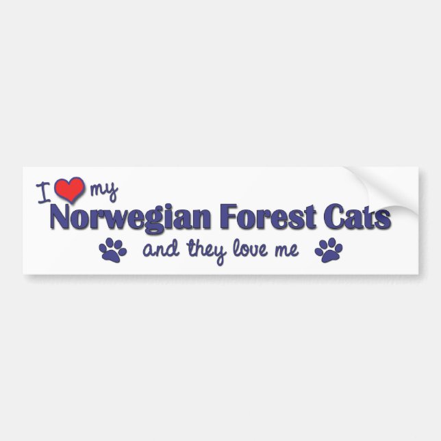 I Love My Norwegian Forest Cats (Multiple Cats) Bumper Sticker (Front)