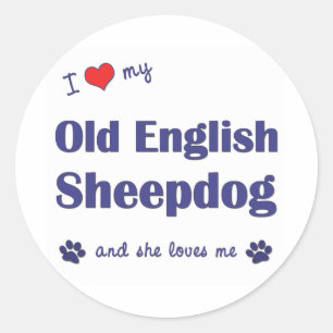 I Love My Old English Sheepdog (Female Dog) Classic Round Sticker