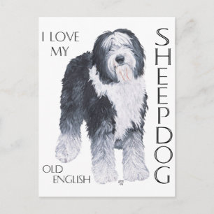 I Love My Old English Sheepdog Postcard