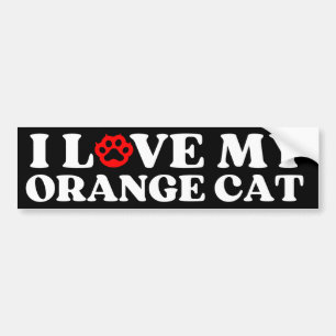 i love my Orange Cat Bumper Sticker