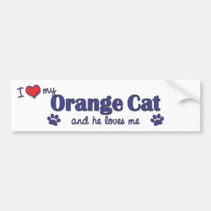 I Love My Orange Cat (Male Cat) Bumper Sticker