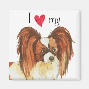 I Love my Papillon Magnet