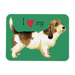 I Love my PBGV Magnet