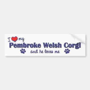 I Love My Pembroke Welsh Corgi (Male Dog) Bumper Sticker