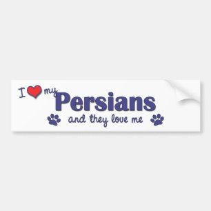 I Love My Persians (Multiple Cats) Bumper Sticker