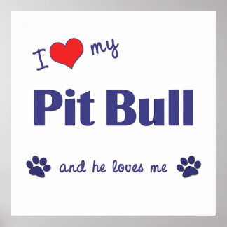 I Love My Pit Bull (Male Dog) Poster