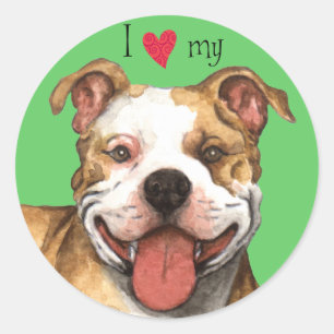 I Love my Pit Bull Terrier Classic Round Sticker