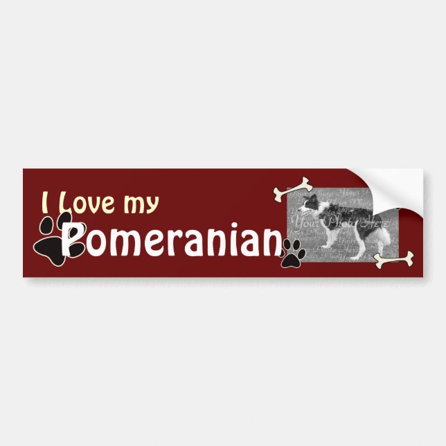 I love my Pomeranian Bumper Sticker (Front)