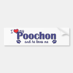 I Love My Poochon (Male Dog) Bumper Sticker