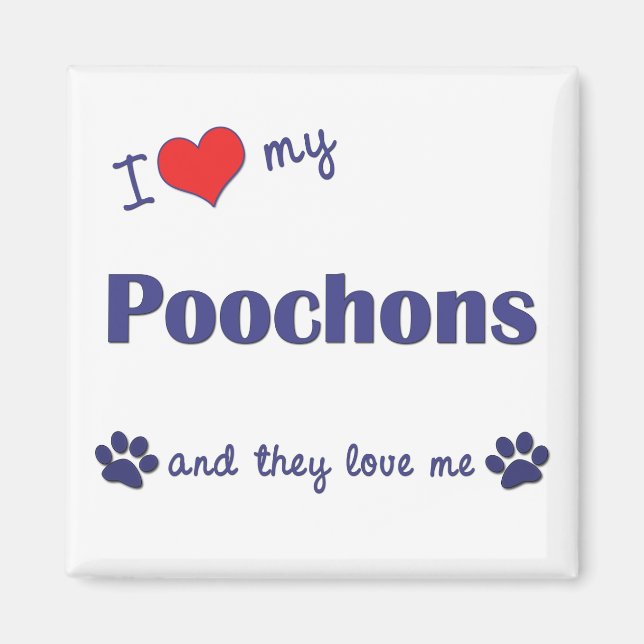 I Love My Poochons (Multiple Dogs) Magnet (Front)