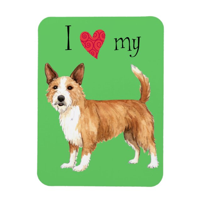 I Love my Portuguese Podengo Pequeno Magnet (Vertical)