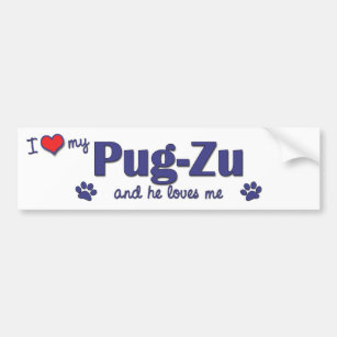 I Love My Pug-Zu (Male Dog) Bumper Sticker