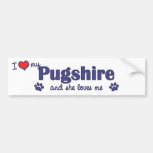 I Love My Pugshire (Female Dog) Bumper Sticker