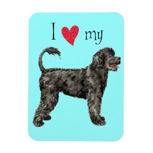 I Love my PWD Magnet