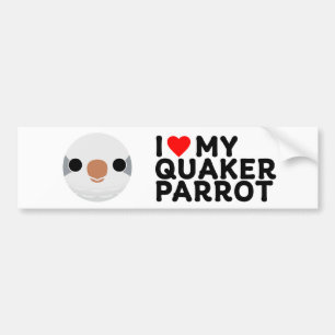 I LOVE MY QUAKER PARROT – grey Bumper Sticker