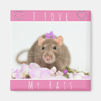I Love My Rats