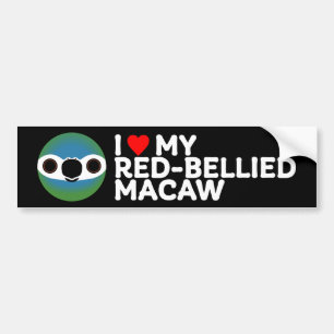 I LOVE MY RED-BELLIED MACAW BUMPER STICKER