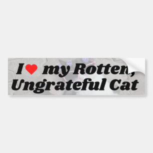 I love My Rotten Ungrateful Cat Bumper Sticker