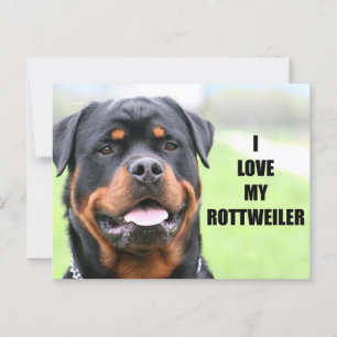 I Love my Rottweiler Postcard